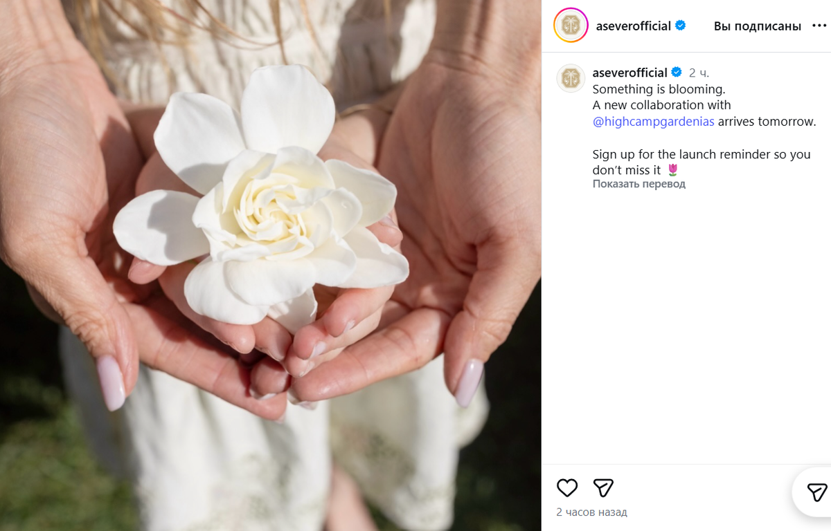 Скрин из аккаунта As Ever