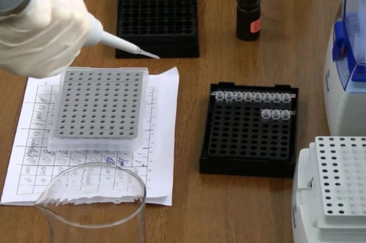    Мужчину, убившего ульяновскую школьницу в 1987 году, нашли по ДНК