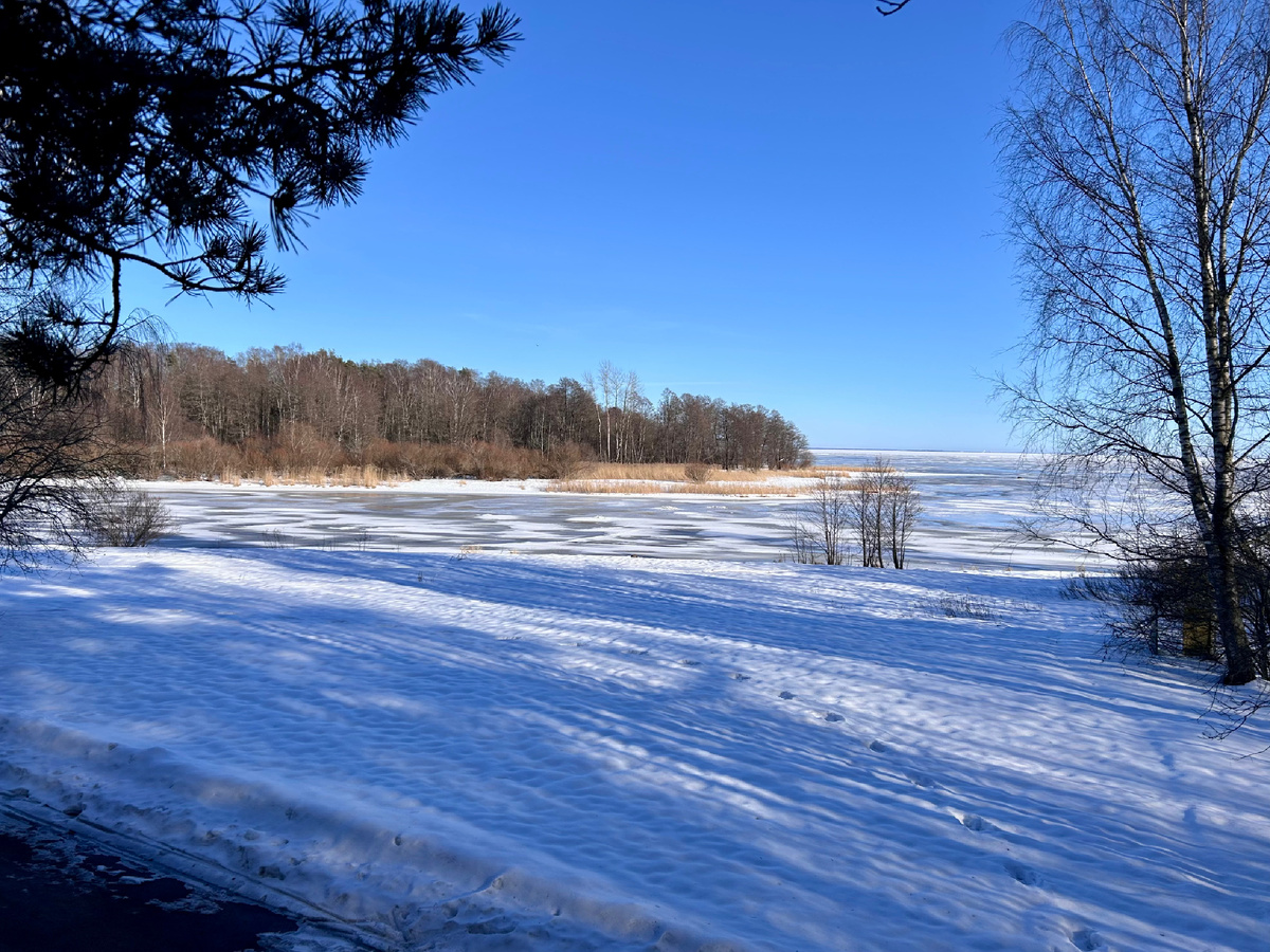 Устье Чёрной речки.