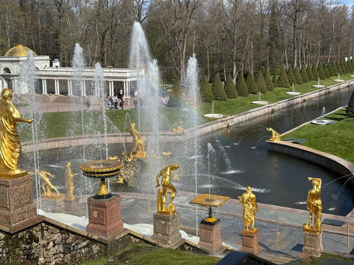 Фото: Neva.Today