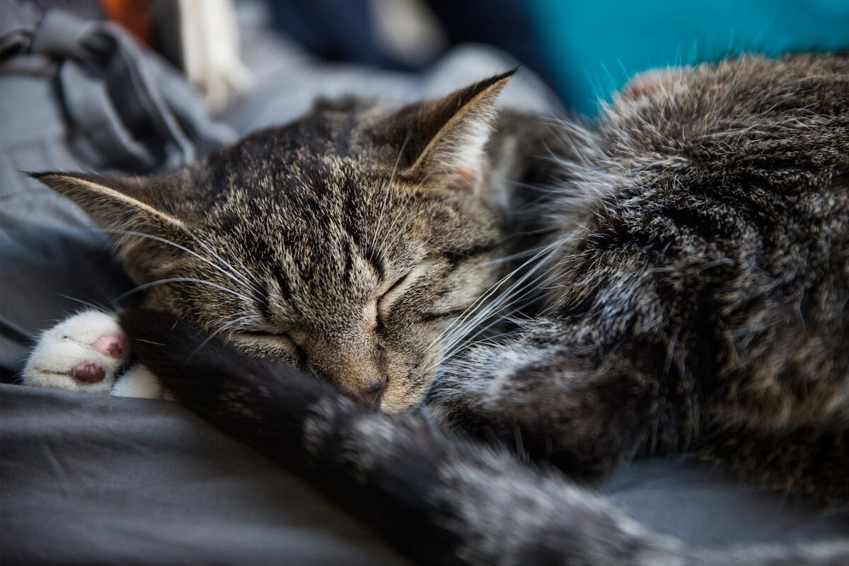 Фото с сайта: https://www.bustle.com/articles/66842-how-to-sleep-better-if-youre-anxious-because-we-all-deserve-a-good-nights-rest