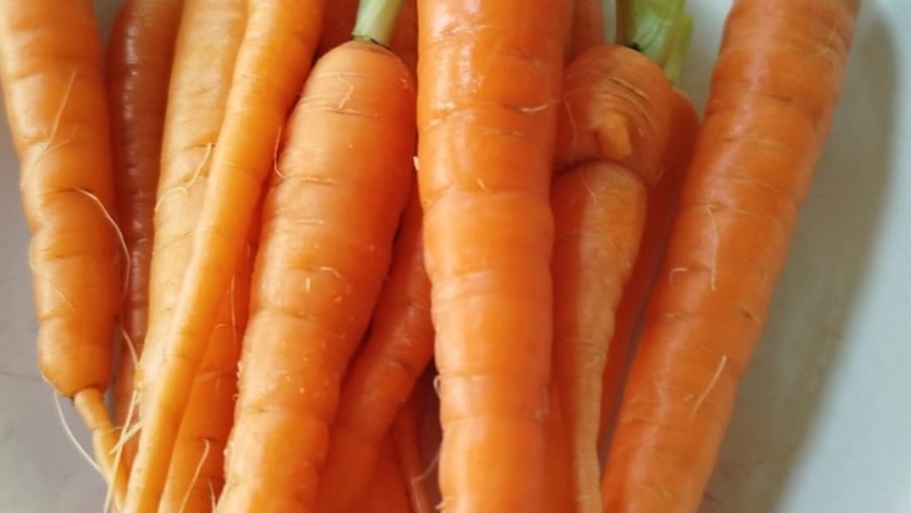    фото smilekaluga.ru