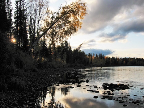 Фотографии Татьяны Немшановой разных лет. Октябрь в тайге Крайнего Севера Западной Сибири ХМАО Югра, лес северный таёжный. Река Манья.