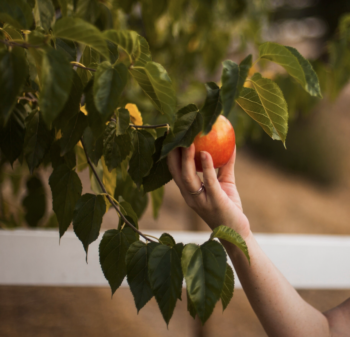 источник https://ru.freepik.com/