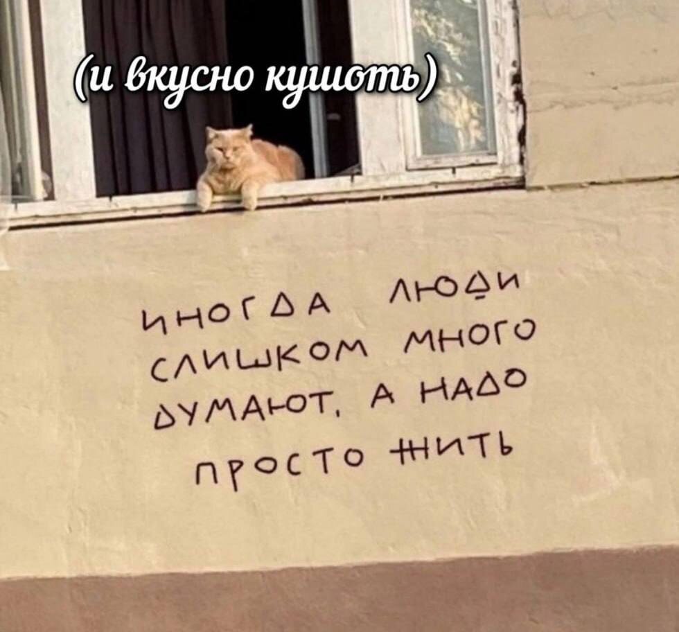 Вместо моего фото - смешная картинка из интернета 😁