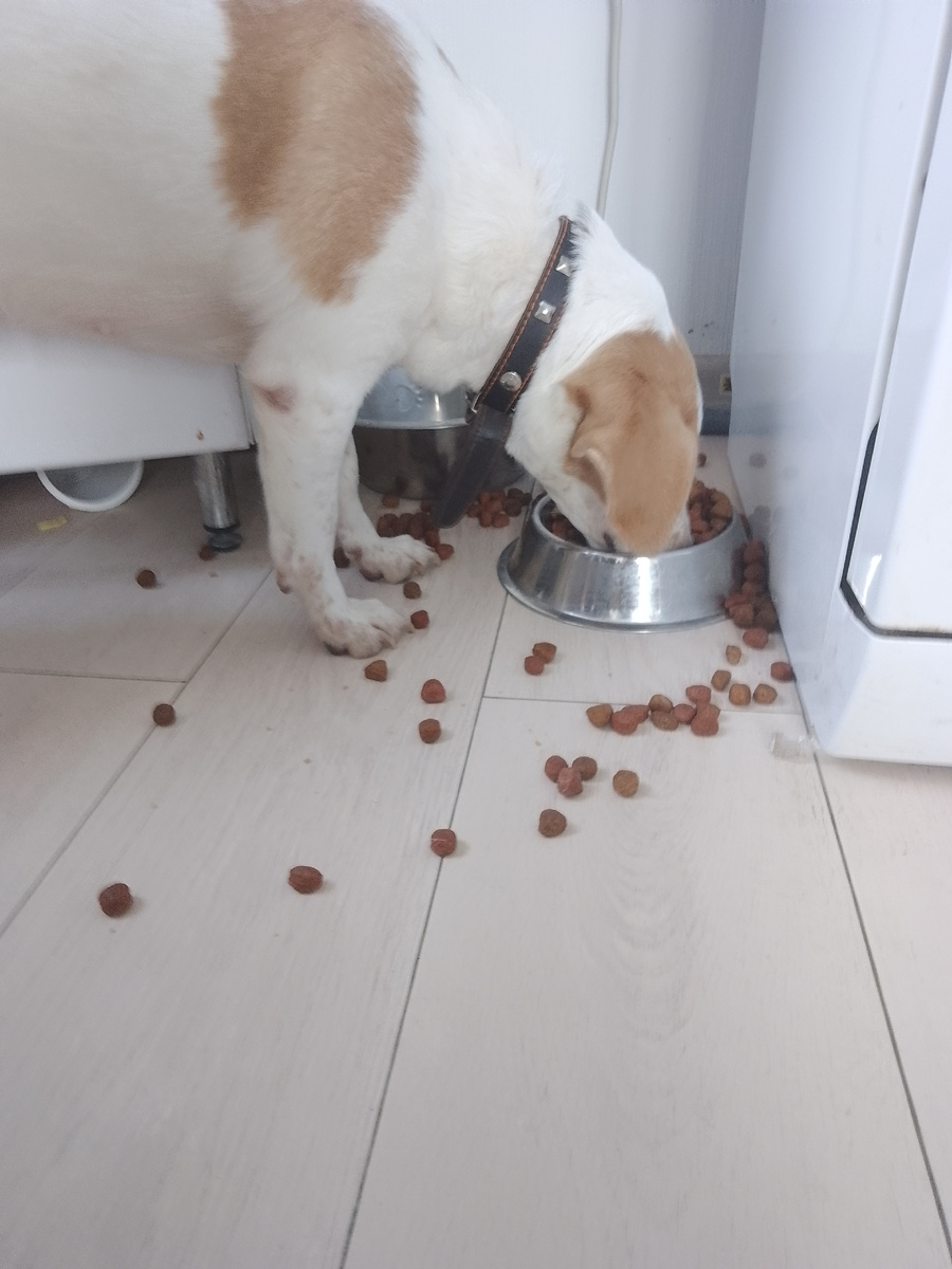 Тут без слов