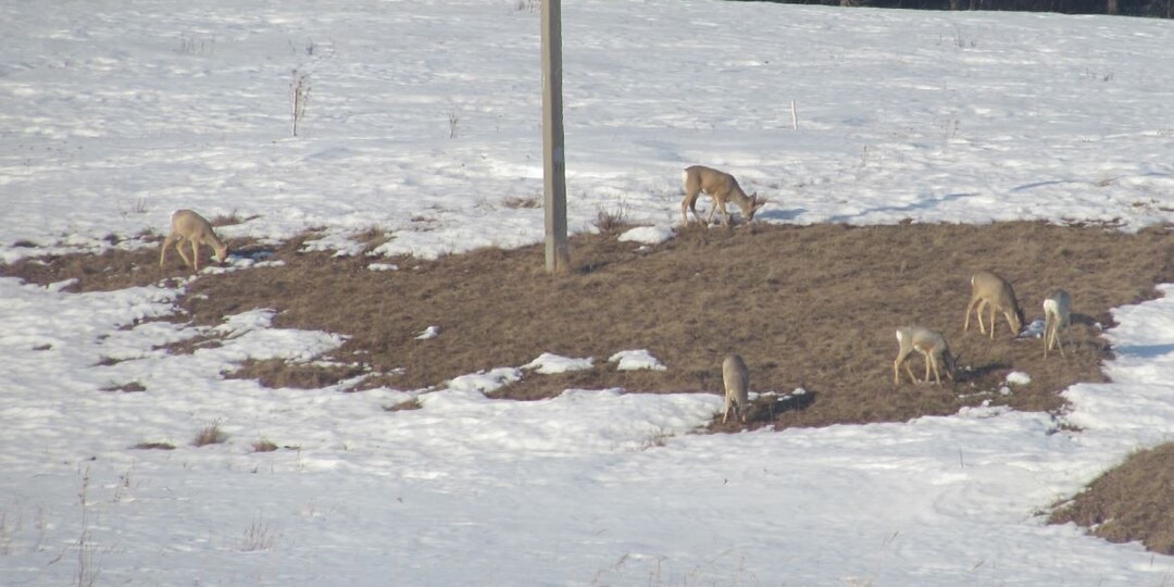 Про нюансы работы и особенности жизни