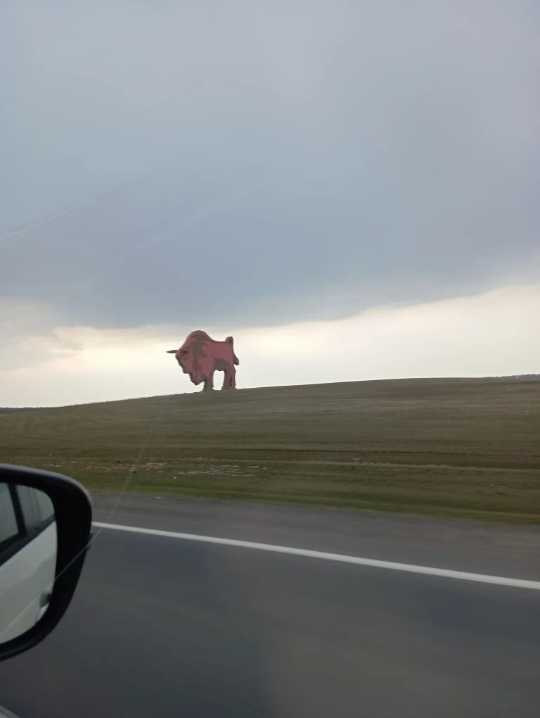 Вот такой Зубр будет на трассе в Брест