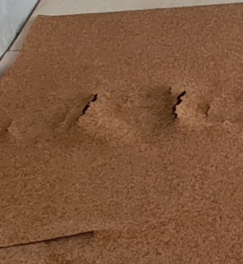 Пострадавшая пробка