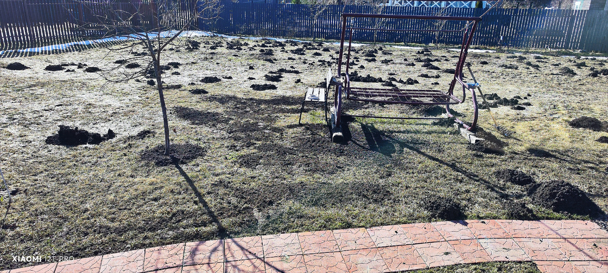 Наш участок.