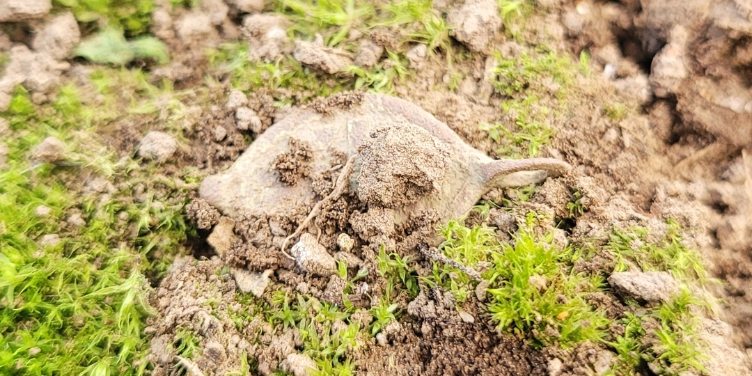 Механическая чистка предмета: иконка – привеска «Голгофский крест с архангелом Михаилом». XVII-XVIII вв.