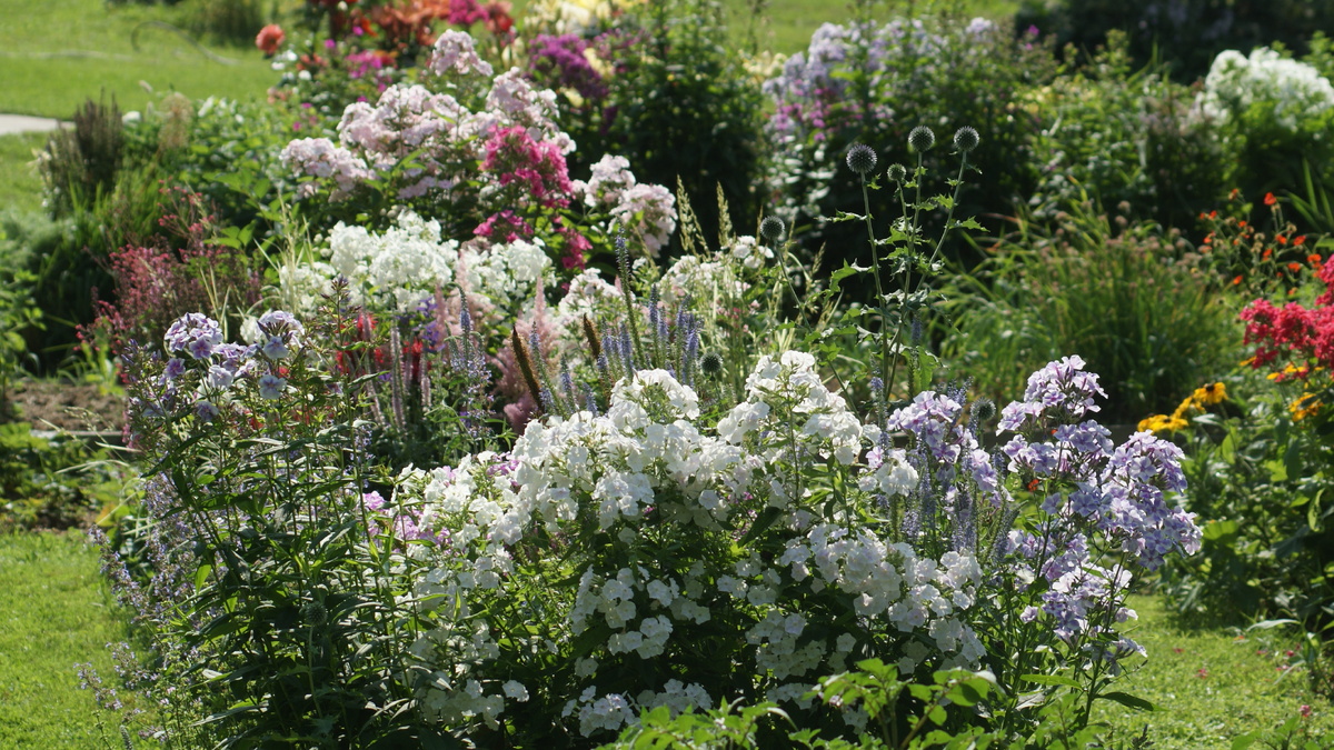 "Капитан" слева