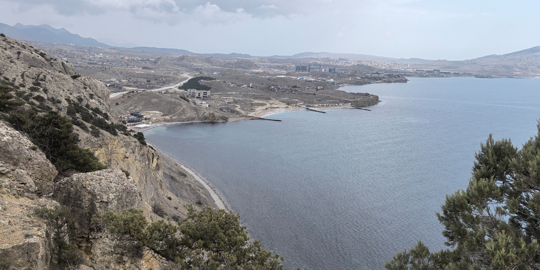 Случайная прогулка