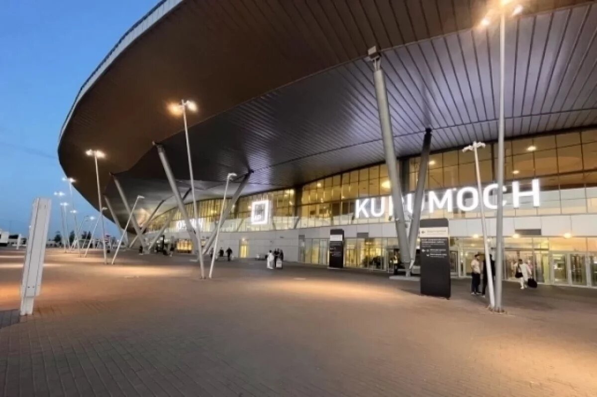    В Курумоче у пассажиров изъяли 11 килограммов домашней еды