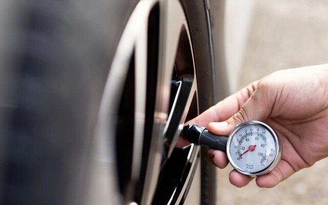 Фото: SHISANUPONG1986 / Shutterstock / FOTODOM