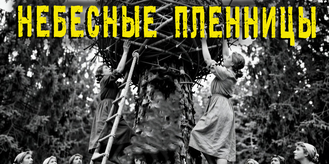 Побег из лагеря: 19 лет жизни на деревьях в тайге. Небесные пленницы.