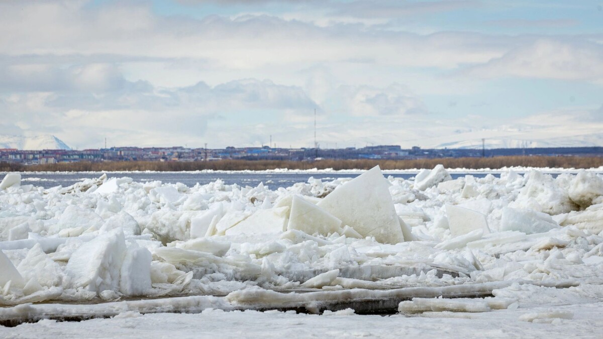    Фото: Федор Воронов / «Ямал-Медиа»