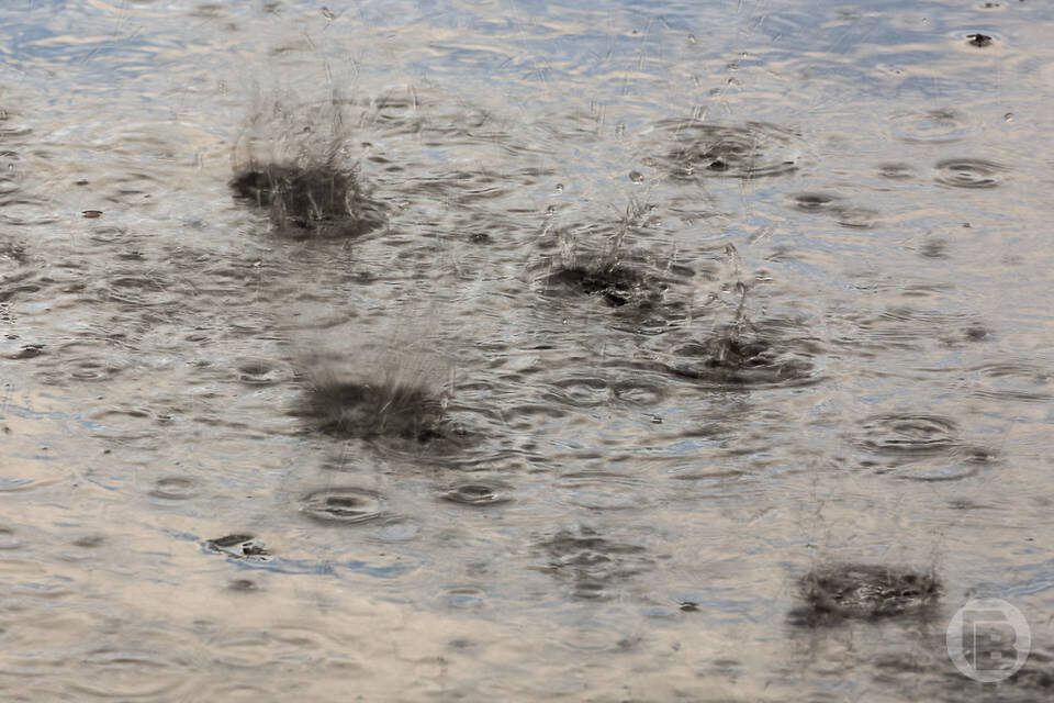    Фото: Дмитрий Рогулин / "Городские вести"