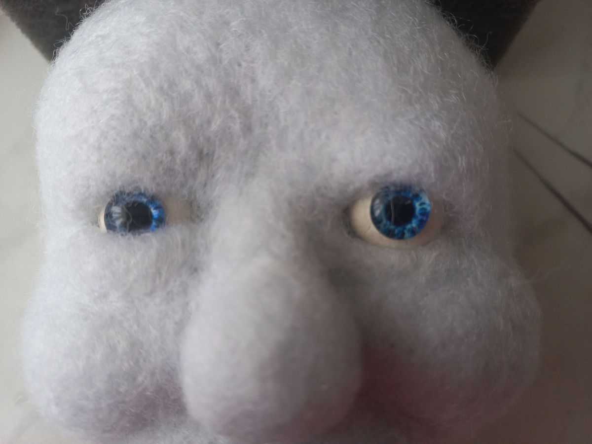 Фото автора. А тут слева и верхнее и нижнее веком на месте.