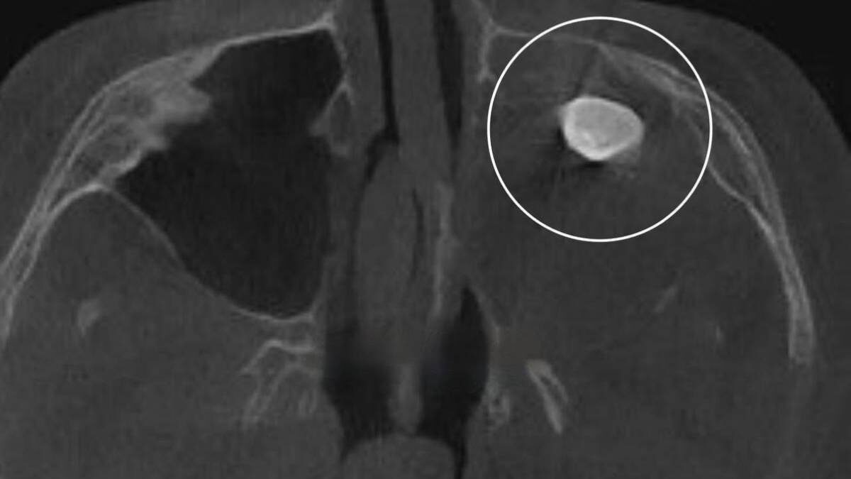    Фото: Московская медицина