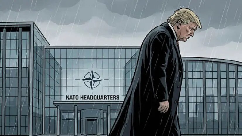    Источник: russian.rt.com Полина Белоусова