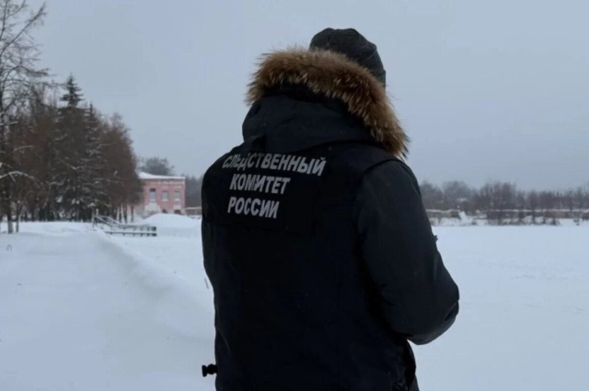    Бастрыкин поручил доложить по делу о наезде самоката