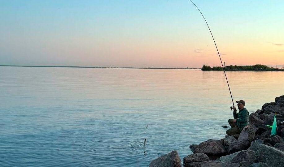 Сроки НЕРЕСТОВЫХ ЗАПРЕТОВ в 2026 г. Памятка для рыболовов любителей