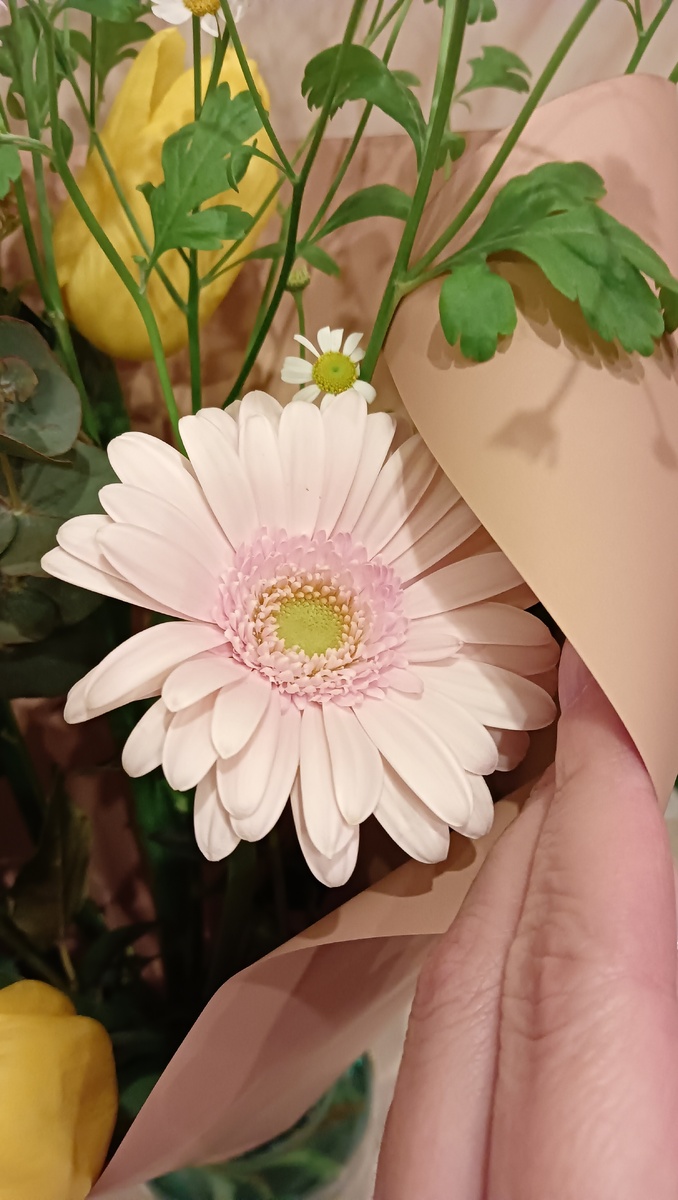 Фото для красоты