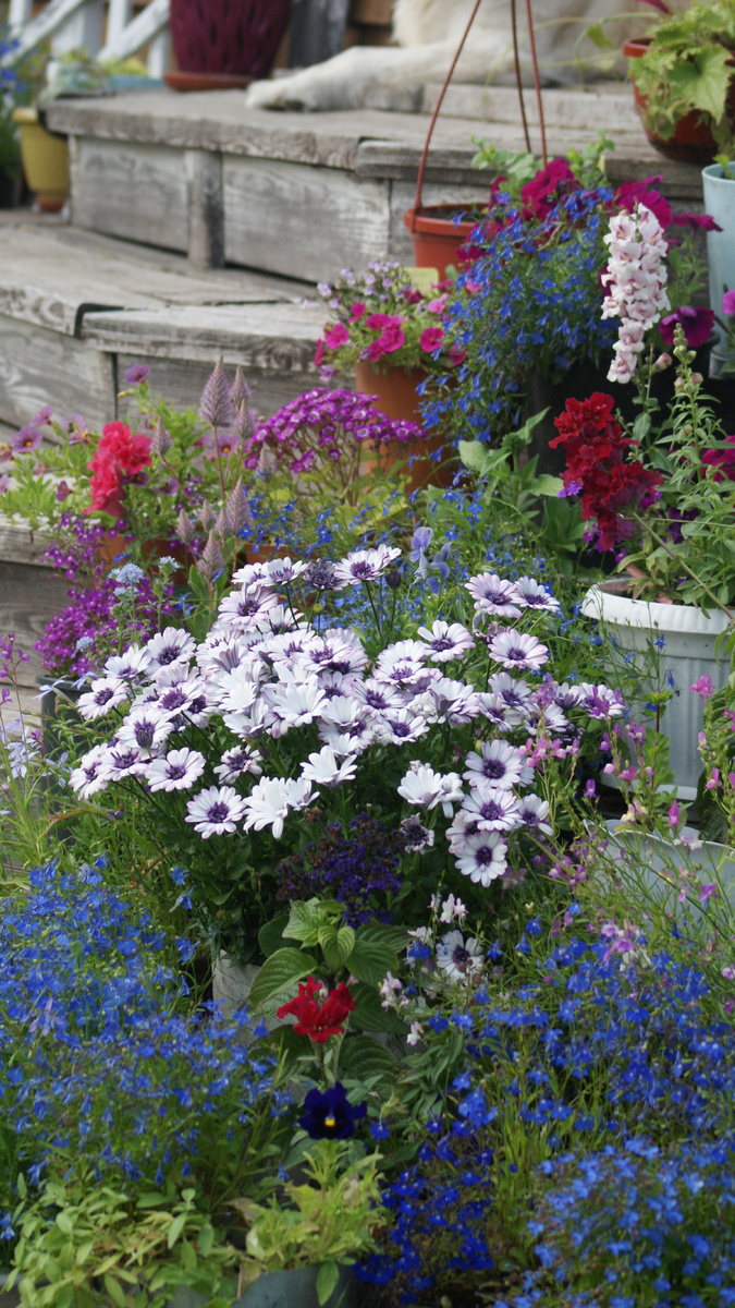 Контейнерный садик