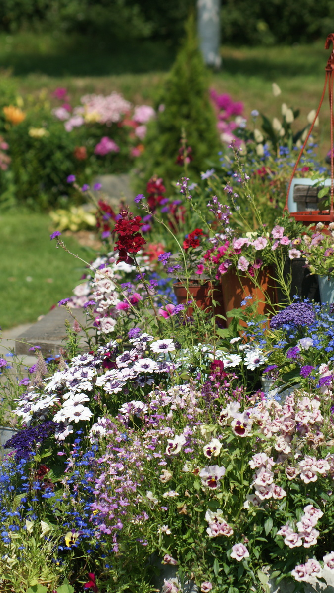 Контейнерный садик