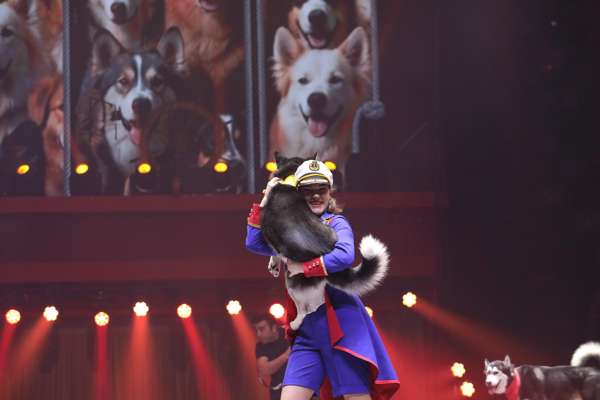 Ирина Панкина и ее дрессированные собаки, «Маршрут построен», фото: Казанский цирк