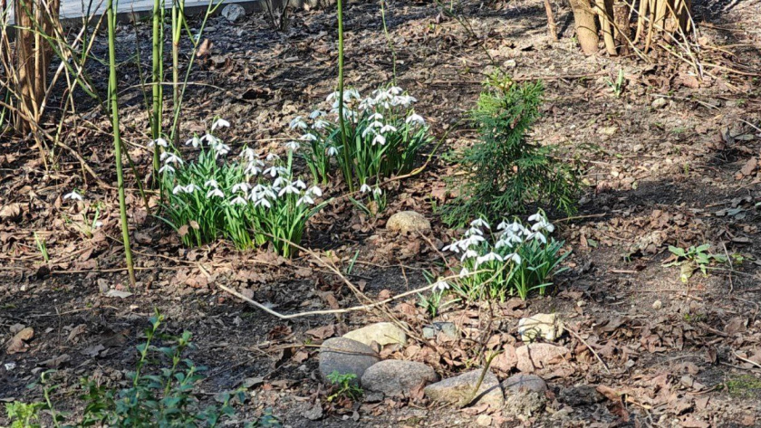    Первый городской канал Калининград
