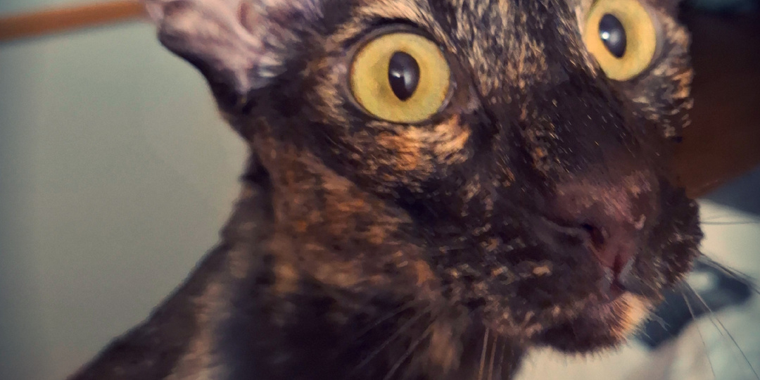 Очередная подстава