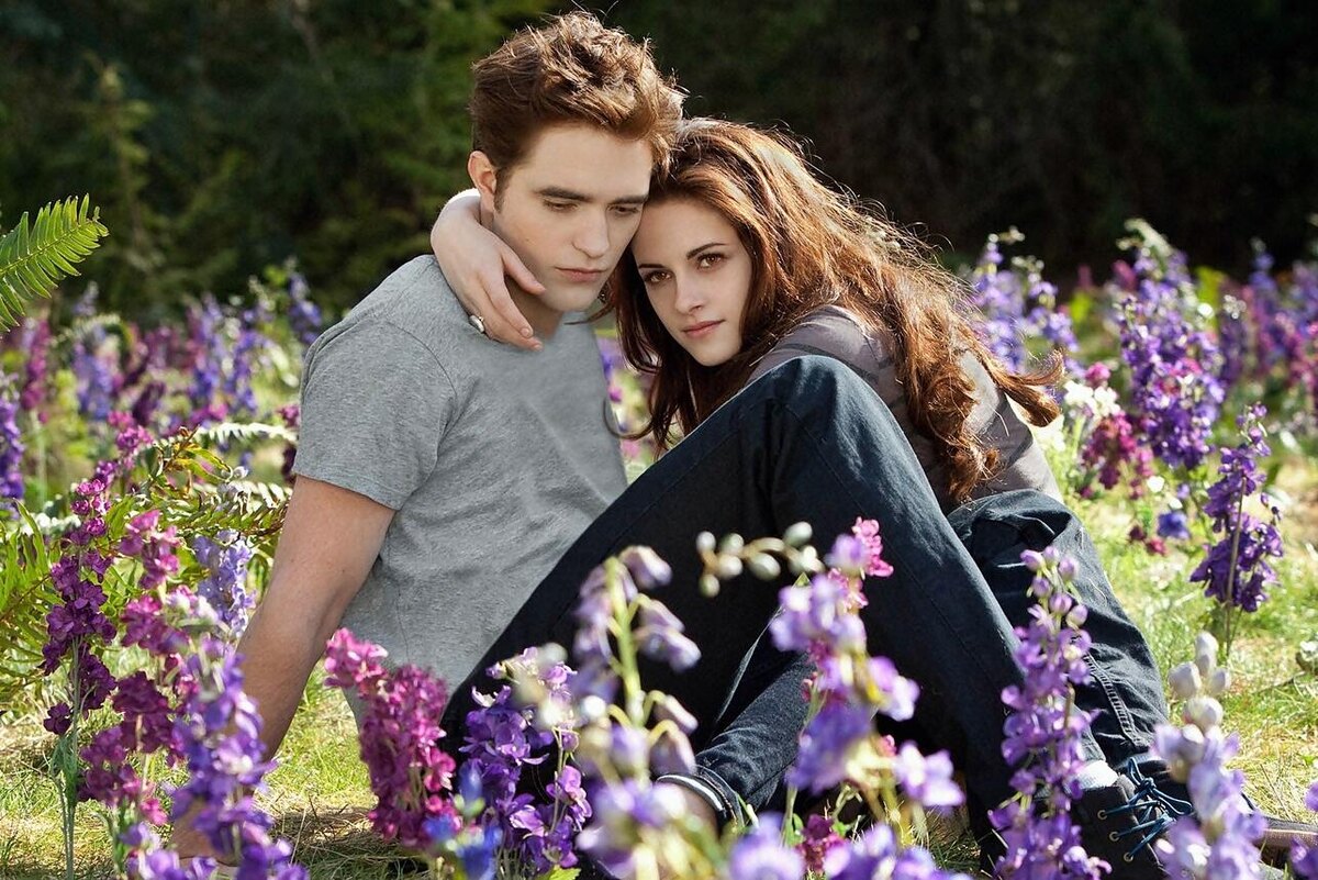 История Беллы и Эдварда. Фанфик