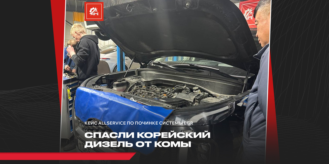 Ошибка в системе EGR на Hyundai Palisade и как ее решить