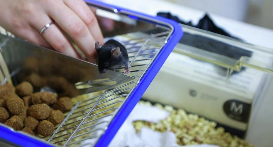    РИА «Новости»