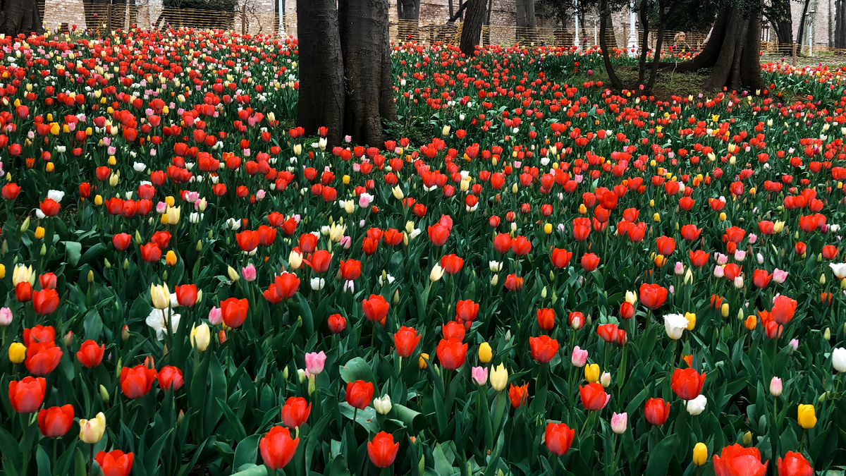 Фото из личного архива команды NextstationTravel