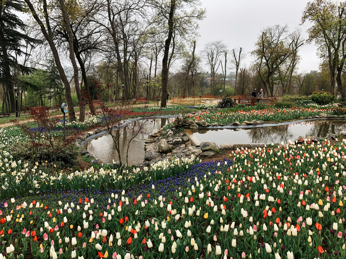 Фото из личного архива команды NextstationTravel