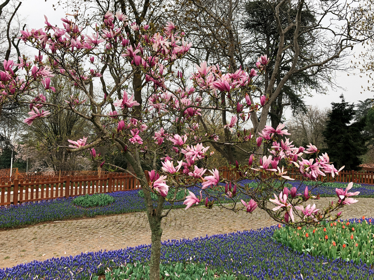 Фото из личного архива команды NextstationTravel