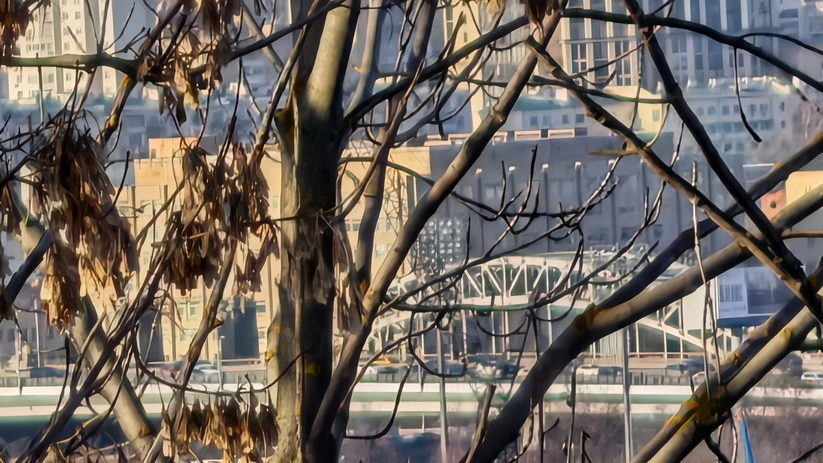 Фото автроа