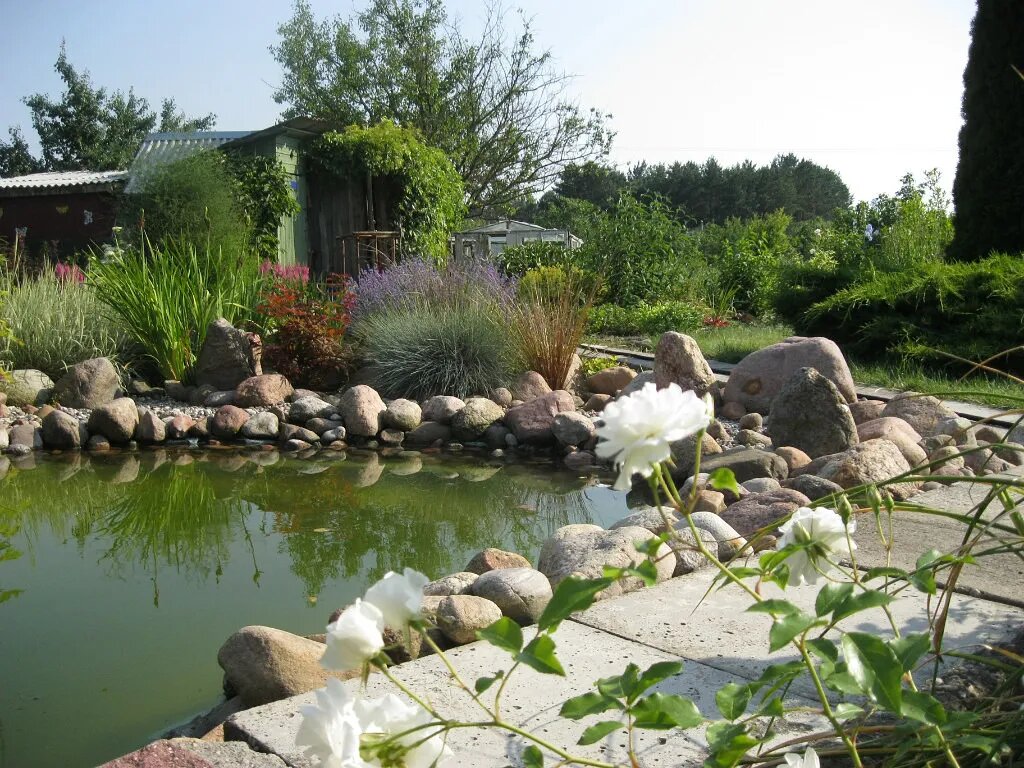 Камни и вода -лучшее место для медитации!