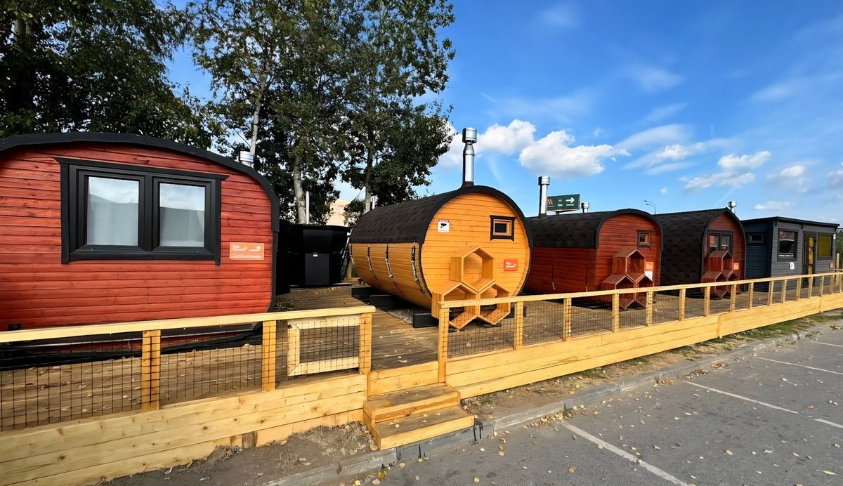 Выставка в Подмосковье