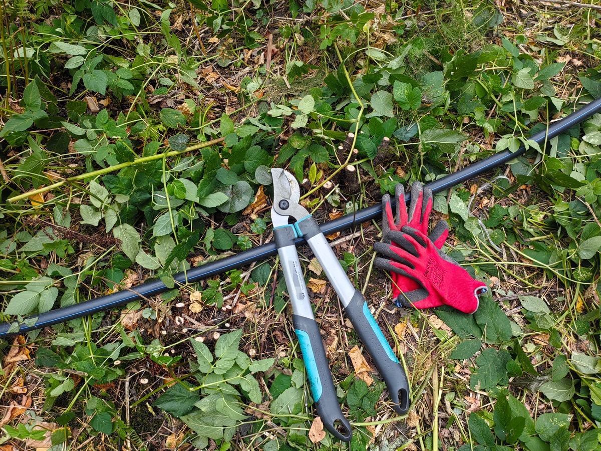 У меня такой. есть ещё с раздвижными ручками, но мне кажется, что это лишнее. И с такими справляется.