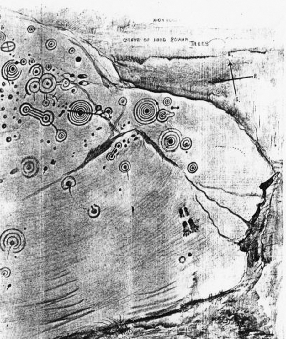 Часть фото из статьи