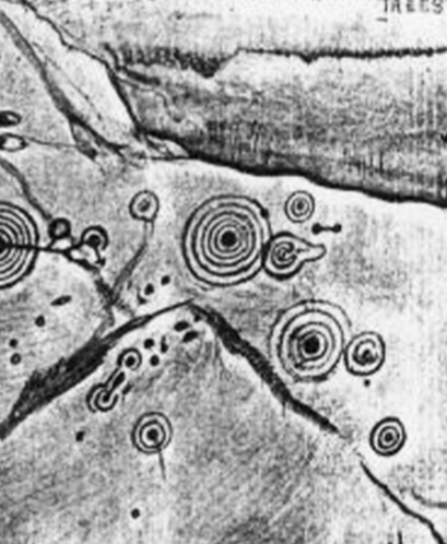 Часть фото из статьи