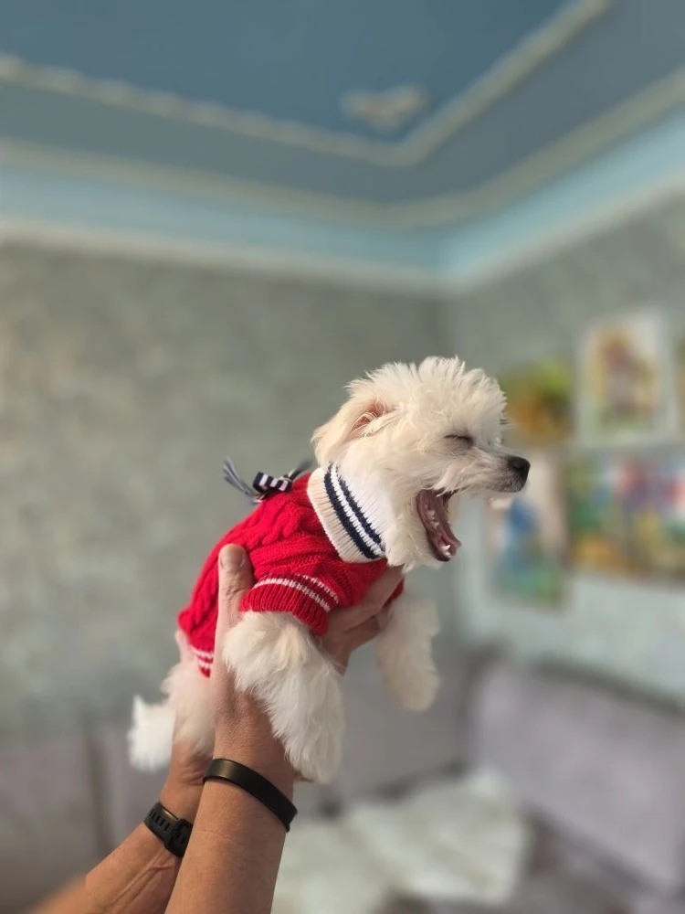 Правда тут она знала))))