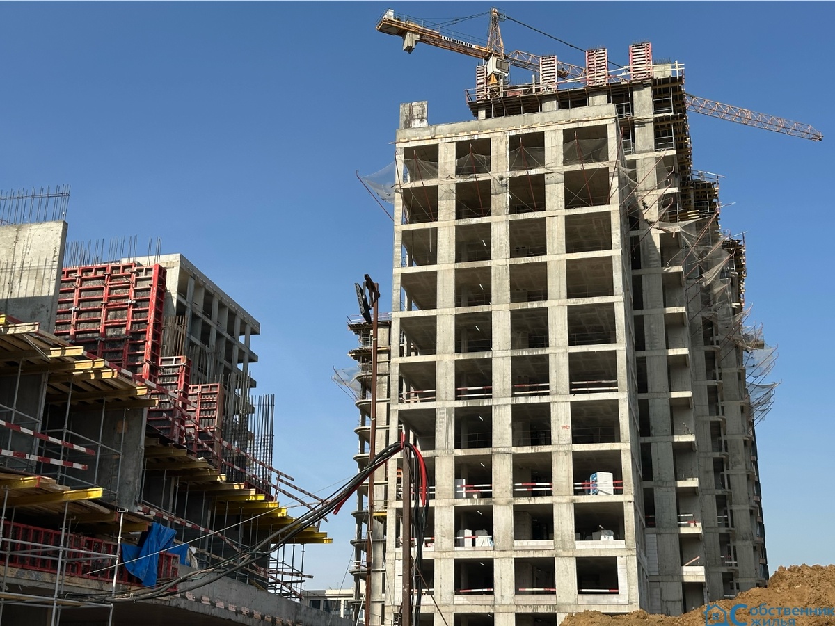 | фото © ISO M-P group