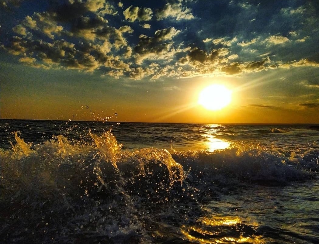 Автор фото: @iriskisa_