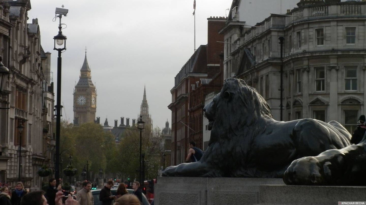     Лондон, Великобритания   
Александр Головнин © ИА Красная Весна