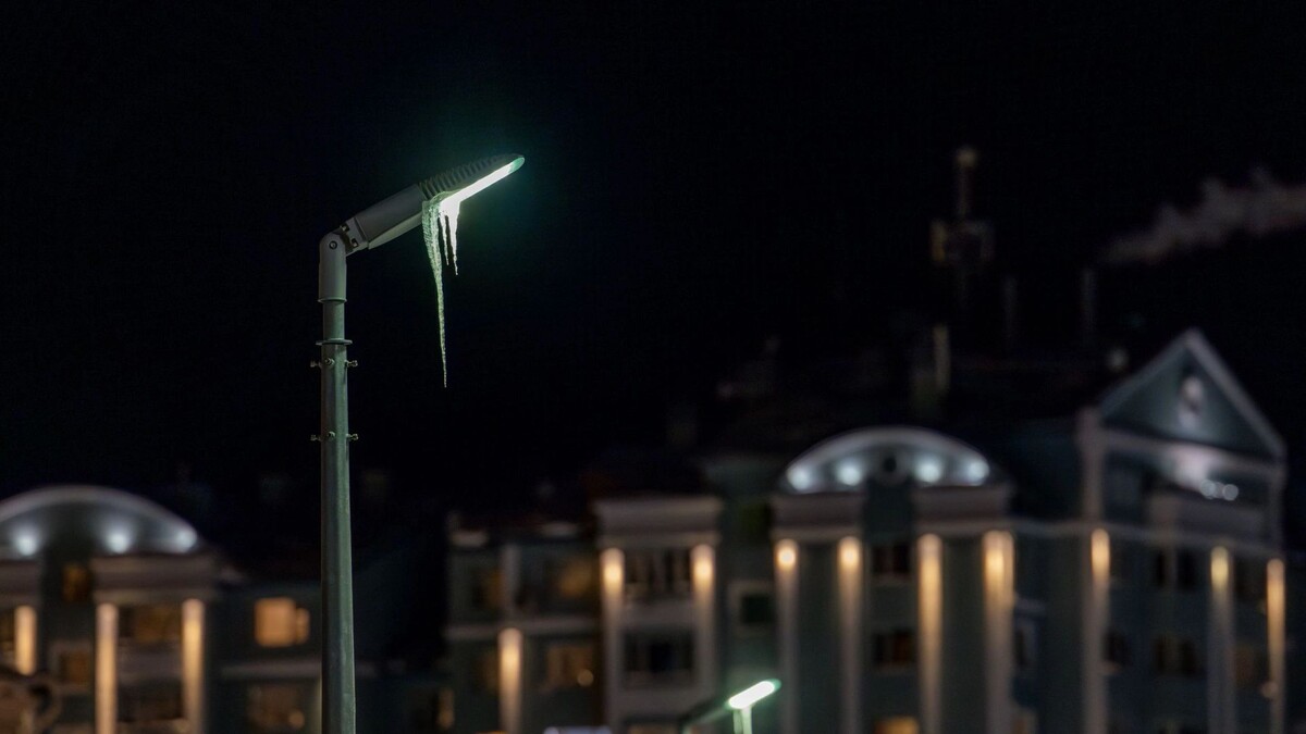    Фото: Федор Воронов / «Ямал-Медиа»